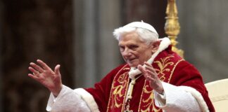 Papa Benedetto XVI, papa Ratzinger