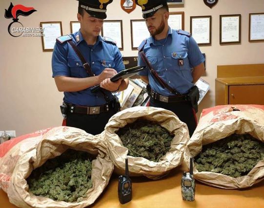 9 chili di marijuana 3 arresti a San Luca (RC)