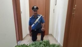 arresto per spaccio di sostanze stupefacenti Carabinieri Catanzaro