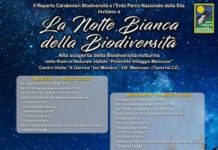 Notte bianca biodiversità 2020 Locandina