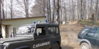 Reggio Calabria, Carabinieri Forestali