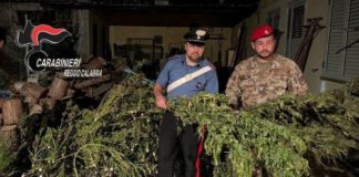 marijuana, Carabinieri Reggio Calabria