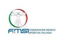 logo-FMSi