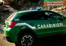 Reggio Calabria, Carabinieri Forestali