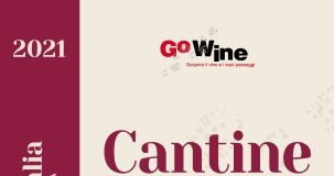 Cantine d'Italia 2021, Go Wine, guida enoturista