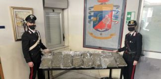 arrestati coniugi, 54 kg marijuana, Carabinieri Catanzaro