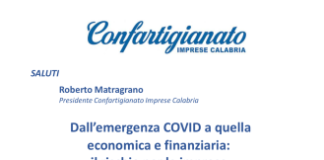 Webinar, Confartigianato Calabria