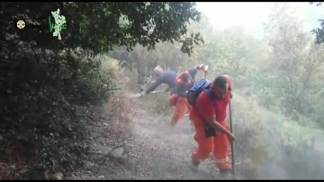 emergenza incendi, Calabria Verde