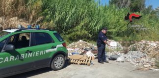 Lamezia Terme, smaltimento illecito rifiuti, Carabinieri Tutela Forestale