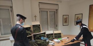 Jacurso, arresto per droga Carabinieri Catanzaro