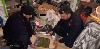 Tiriolo, droga, Carabinieri Catanzaro