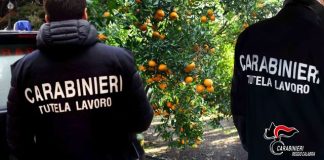 caporalato, carabinieri tutela lavoro Reggio Calabria