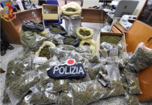 Vibo Valentia, sequestro 50 kg marijuana della Polizia di Stato