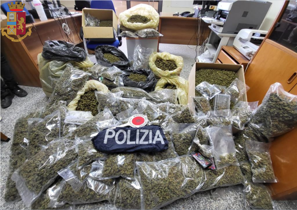 Vibo Valentia, sequestro 50 kg marijuana della Polizia di Stato