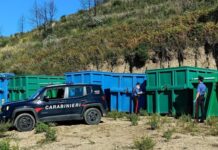 Zagarise, stoccaggio rifiuti non autorizzato, Carabinieri Catanzaro