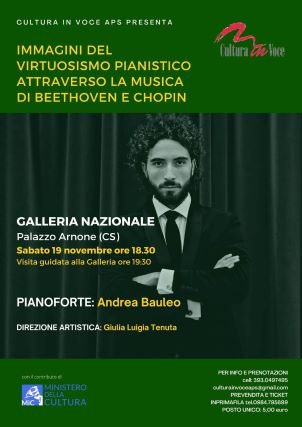 concerto Andrea Bauleo