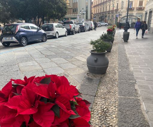 Stelle di Natale, centro storico Catanzaro