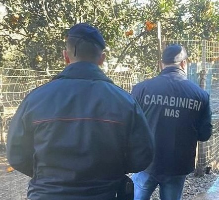 Carabinieri Nas Reggio Calabria