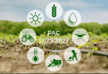 Politica Agricola Comunitaria Pac 2023 2027