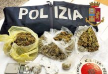 Vibo Valentia, arresto Polizia di Stato per droga, Briatico