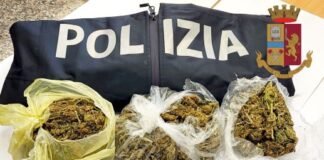 Vibo Valentia, arresto Polizia di Stato per droga, Briatico