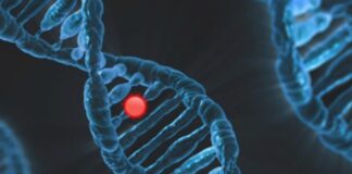 DNA, genetica, mutazione, scienza, biologia, malattie rare