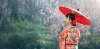 Giappone, Kimono