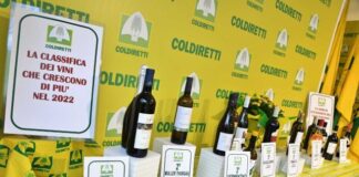 Vinitaly 2023, La Classifica dei Vini, Coldiretti Calabria