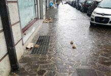 Viale Crotone, sporco, senso civico, carte e bottiglie