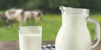 latte sintetico