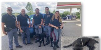 Polizia di Catanzaro salvano cane abbandonato