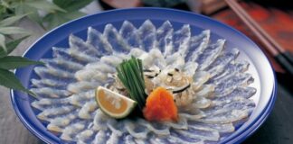 fugu, sashimi, piatto giapponese, piatto bizzarro