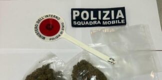 arresto per droga nel Vibonese