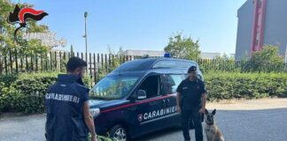 Carabinieri Cosenza, arresto per droga