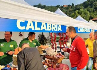 Lega Calabria, Pontida