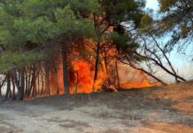 Incendi nel Crotonese