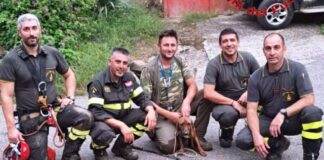 Cane, salvataggio vigili del fuoco