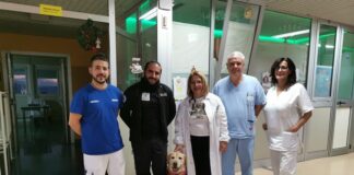 Pet-therapy all'ospedale di Lamezia