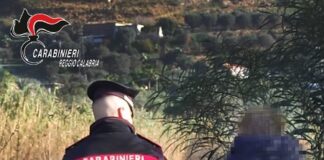 carabinieri, sventato suicidio di un 24enne