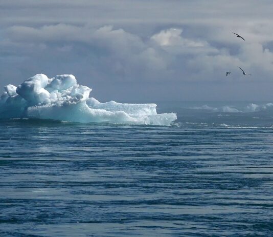 Iceberg si scioglie, cambiamenti climatici