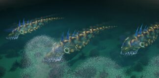 Pesce alieno, svelato il significato del pesce d'aprile