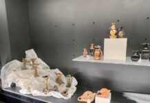 reperti confiscati in mostra al museo della Sibaritide