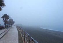 Calabria, lupa di mare, caldo