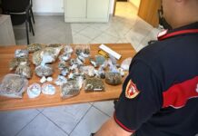 Lamezia Terme, droga nascosta in garage: arrestato un 40enne Lamezia Terme, droga nascosta in garage: arrestato un 40enne