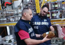 Catanzaro, NAS sequestra 1.855 kg di alimenti e cosmetici non conformi Catanzaro, NAS sequestra 1.855 kg di alimenti e cosmetici non conformi