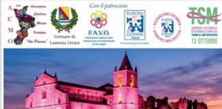 Lamezia Terme, la Madonnina si illumina di rosa per il tumore al seno Lamezia Terme, la Madonnina si illumina di rosa per il tumore al seno