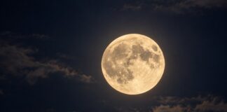 Luna del Cacciatore, il 26 ottobre il plenilunio Luna del Cacciatore, il 26 ottobre il plenilunio